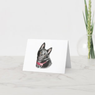 Tarjeta en blanco de Schipperke Picture