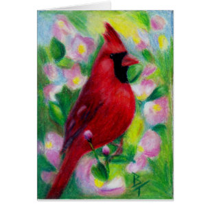 Tarjeta en blanco de Sr. Cardinal