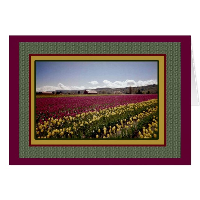 Tarjeta en blanco de tulip Field (Anverso (Horizontal))