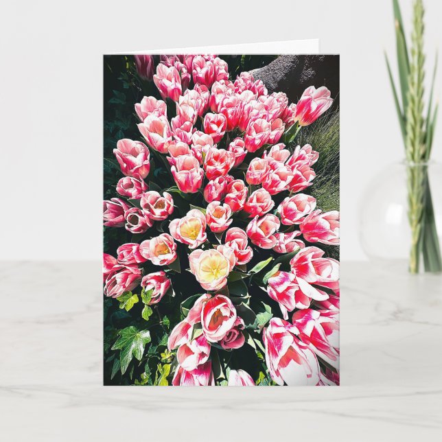 Tarjeta en blanco de tulipanes de primavera (Anverso)