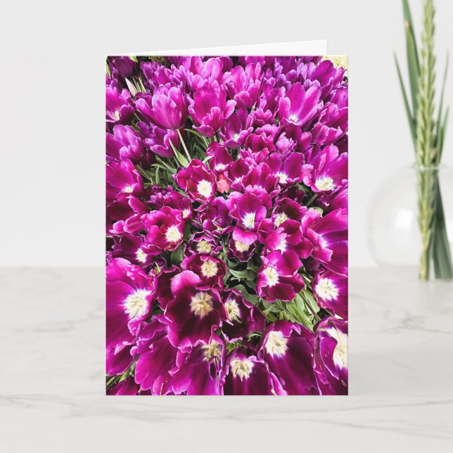 Tarjeta en Blanco de Tulipanes Morados (Anverso)