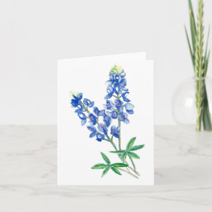 Tarjeta En blanco del Bluebonnet 3