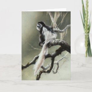 Tarjeta en blanco del Colobus de Andrew Denman