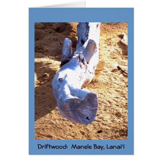 Tarjeta en blanco del Driftwood hawaiano de la