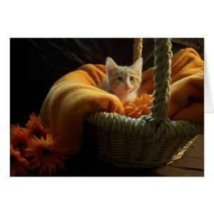 tarjeta en blanco del gatito