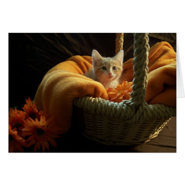 tarjeta en blanco del gatito (Anverso (Horizontal))