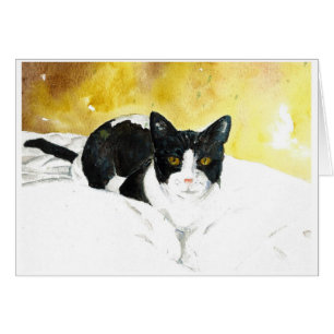 Tarjeta en blanco del gato blanco y negro