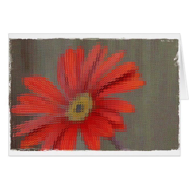 Tarjeta en blanco del Gerbera anaranjado (Anverso (Horizontal))