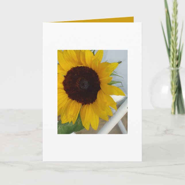 Tarjeta en blanco del girasol (Anverso)