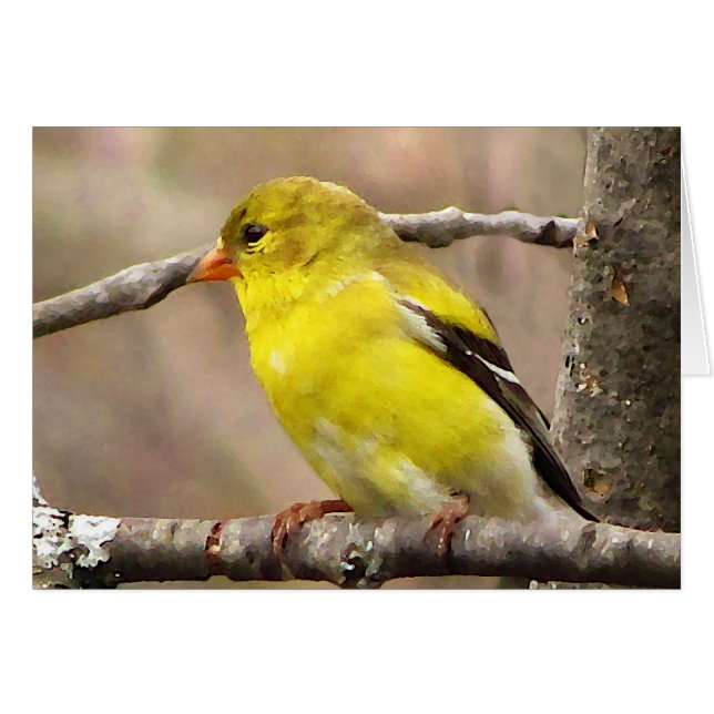 Tarjeta en blanco del Goldfinch (Anverso (Horizontal))