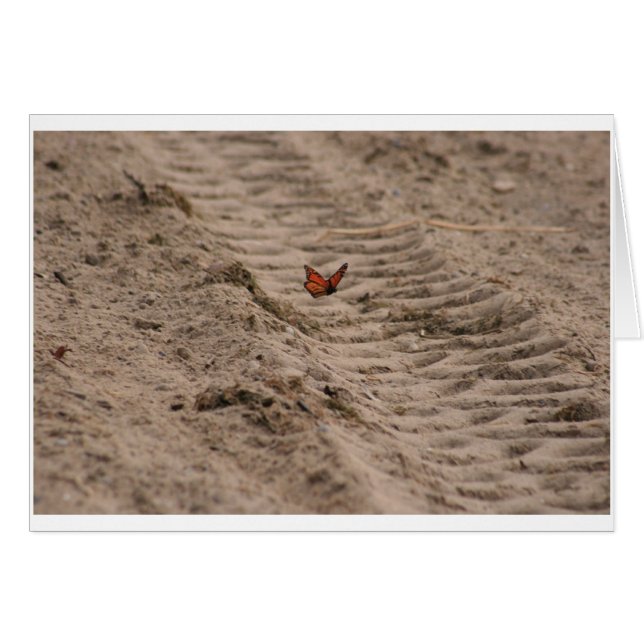 Tarjeta en blanco del monarca (Anverso (Horizontal))