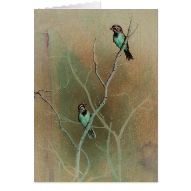 Tarjeta en blanco del pájaro de Andrew Denman (Frente)