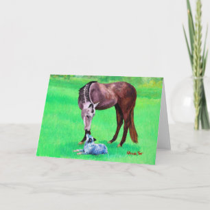Tarjeta en blanco del perro cuarto del caballo de