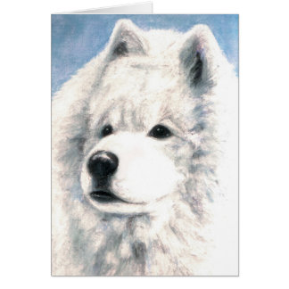 Tarjeta en blanco del perro del samoyedo