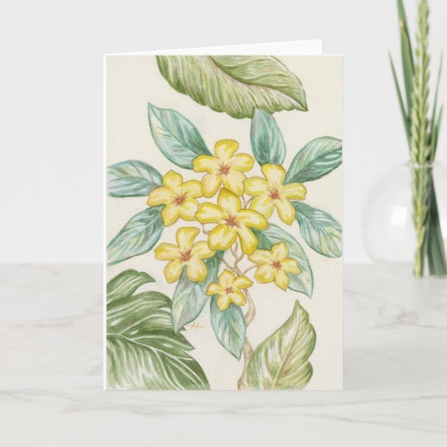 Tarjeta en blanco del Plumeria amarillo (Anverso)