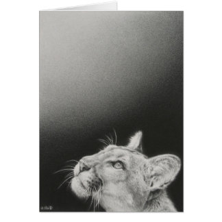 Tarjeta en blanco del puma de Andrew Denman