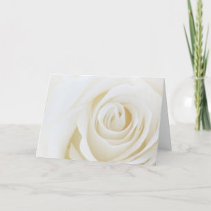 Tarjeta en blanco del rosa blanco