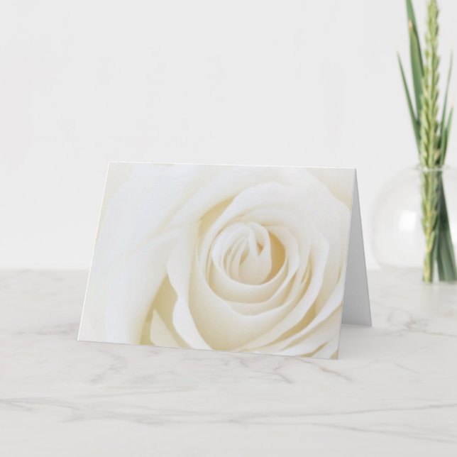 Tarjeta en blanco del rosa blanco (Anverso)