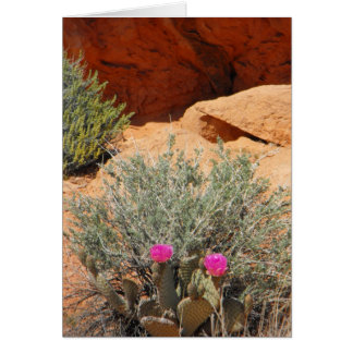 Tarjeta en blanco, DSCF0348, ~in su words~