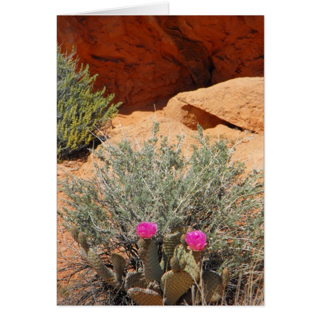 Tarjeta en blanco, DSCF0348, ~in su words~ (Frente)