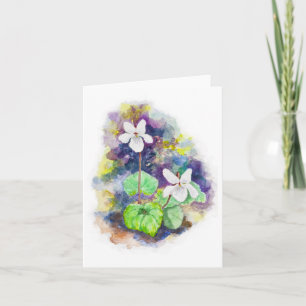 Tarjeta en blanco dulce de la violeta blanca