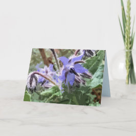 Tarjeta en blanco efecto de bloqueo de flores de e