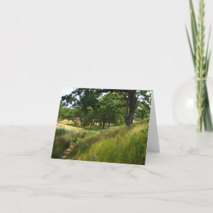 Tarjeta en blanco, escénica