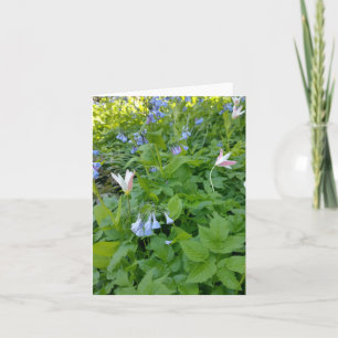 Tarjeta en blanco Filipenses 4:4