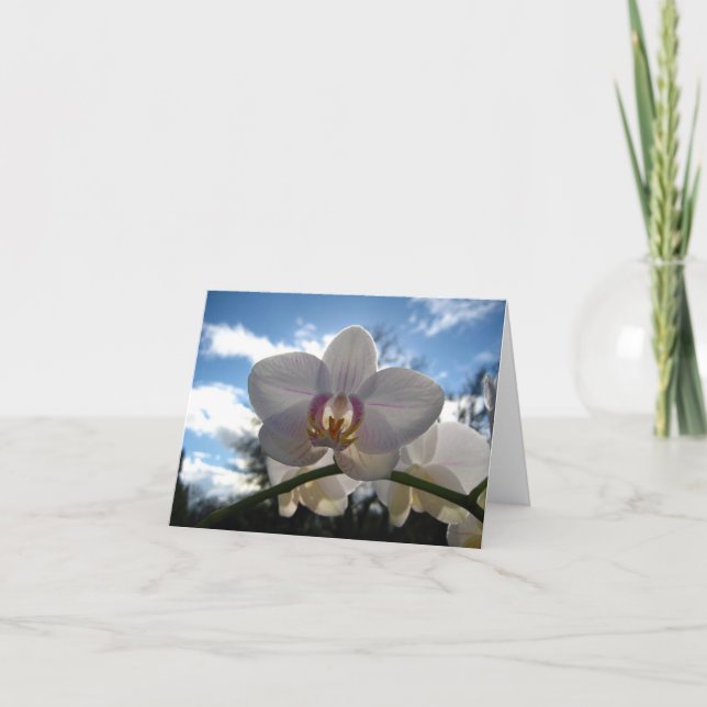 Tarjeta en blanco, flor orquídea (Anverso)