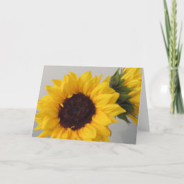 Tarjeta en blanco girasol