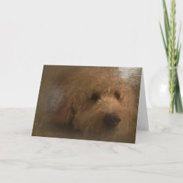 Tarjeta en blanco Goldendoodle