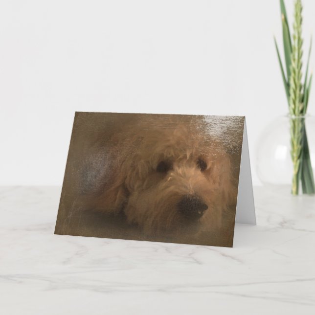 Tarjeta en blanco Goldendoodle (Anverso)