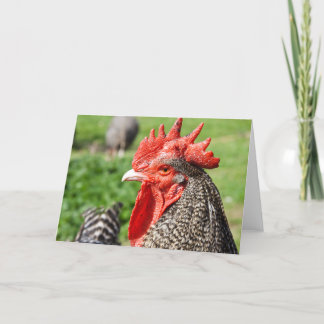 Tarjeta En blanco gris escocés del gallo el |