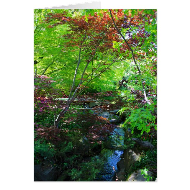 Tarjeta en blanco, jardín botánico (Frente)