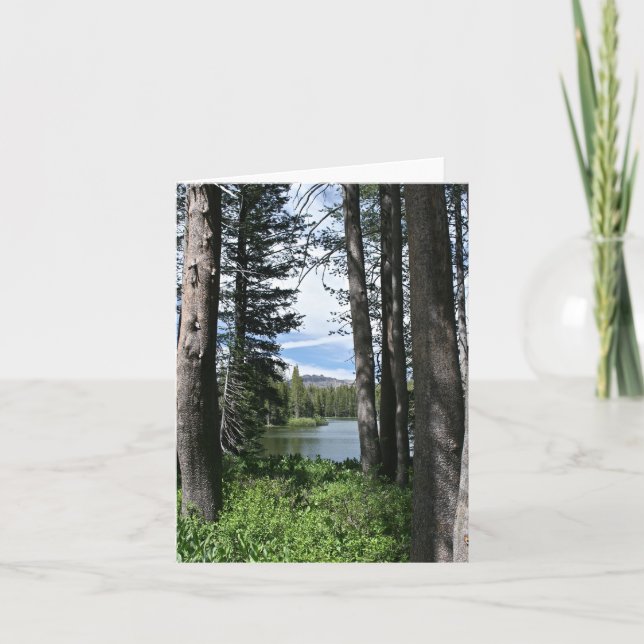 Tarjeta en blanco, Lago de montaña, Bosque (Anverso)