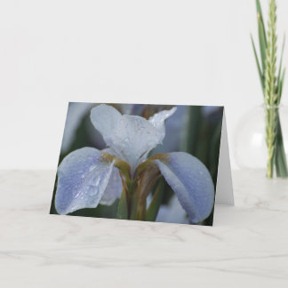 Tarjeta en blanco - Lily