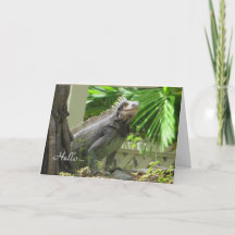 Tarjeta en blanco Lizard Hello