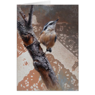 Tarjeta en blanco nuthatch de Andrew Denman