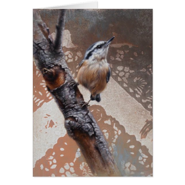 Tarjeta en blanco nuthatch de Andrew Denman (Frente)
