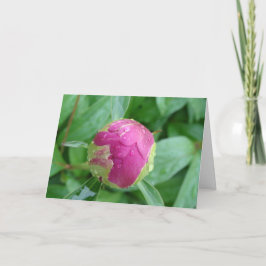 Tarjeta en blanco para dar la bienvenida a la prim