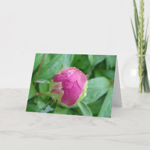 Tarjeta en blanco para dar la bienvenida a la prim