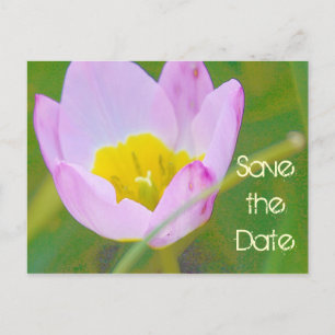 tarjeta en blanco para guardar la fecha con flor d
