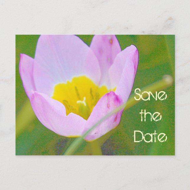 tarjeta en blanco para guardar la fecha con flor d (Anverso)