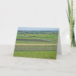 Tarjeta en blanco para la fotografía con vista pan