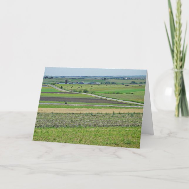 Tarjeta en blanco para la fotografía con vista pan (Anverso)