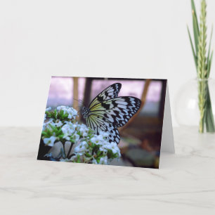 Tarjeta en blanco para mariposa