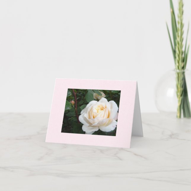 Tarjeta en blanco Pearl Rose (Anverso)