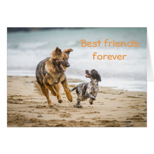 Tarjeta en blanco Perro pastor alemán y cokerspani (Anverso (Horizontal))