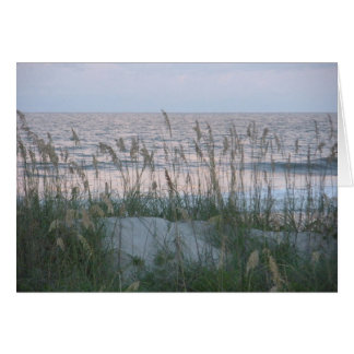 Tarjeta en blanco - playa de la tarde