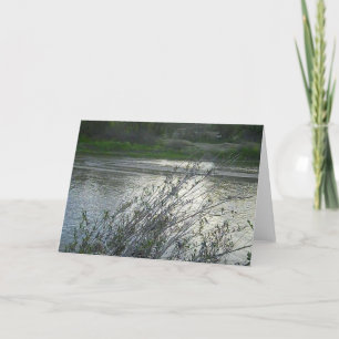 Tarjeta en blanco: Río de las salinas en Paso